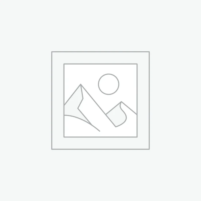 Genuine VAG spark plug 04E 905 612